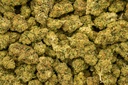 Skittlez