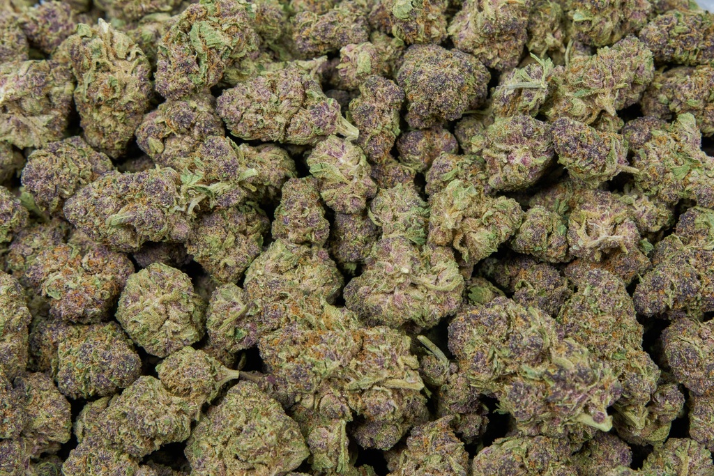 Tropicana Gelato