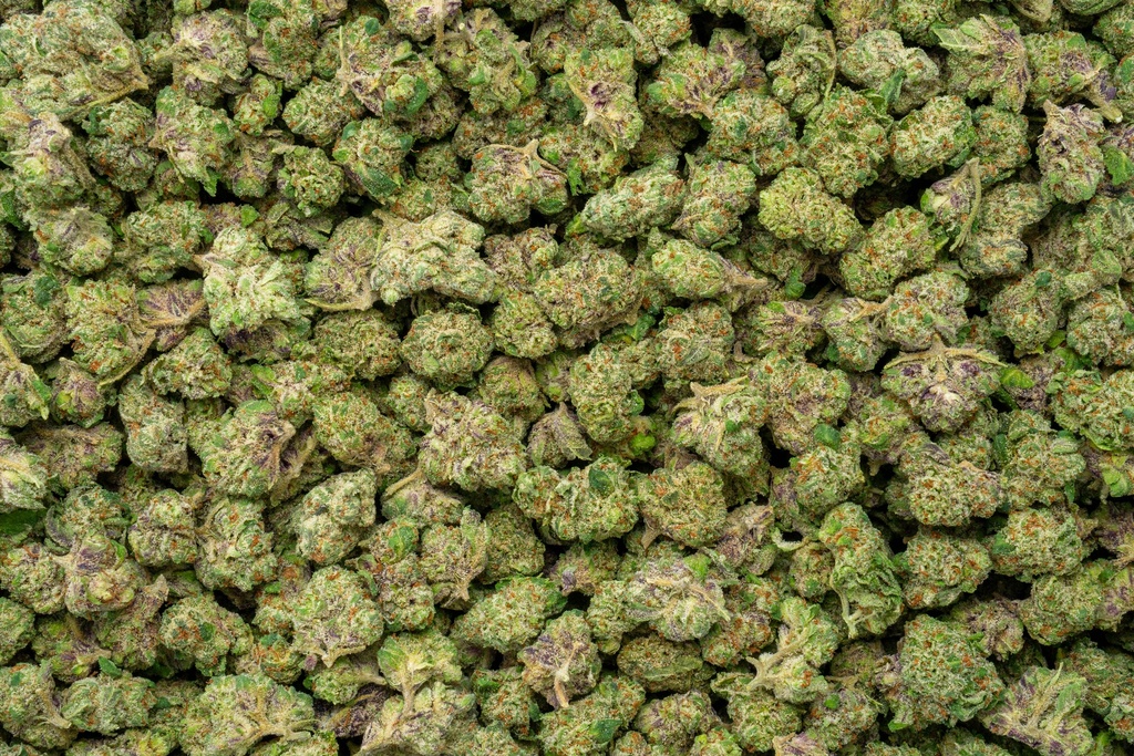 Jokerz Candy Indoor Smalls