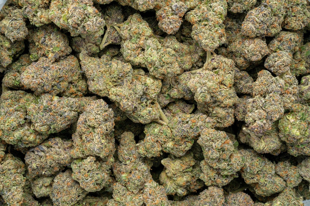 Coco-Lato Indoor