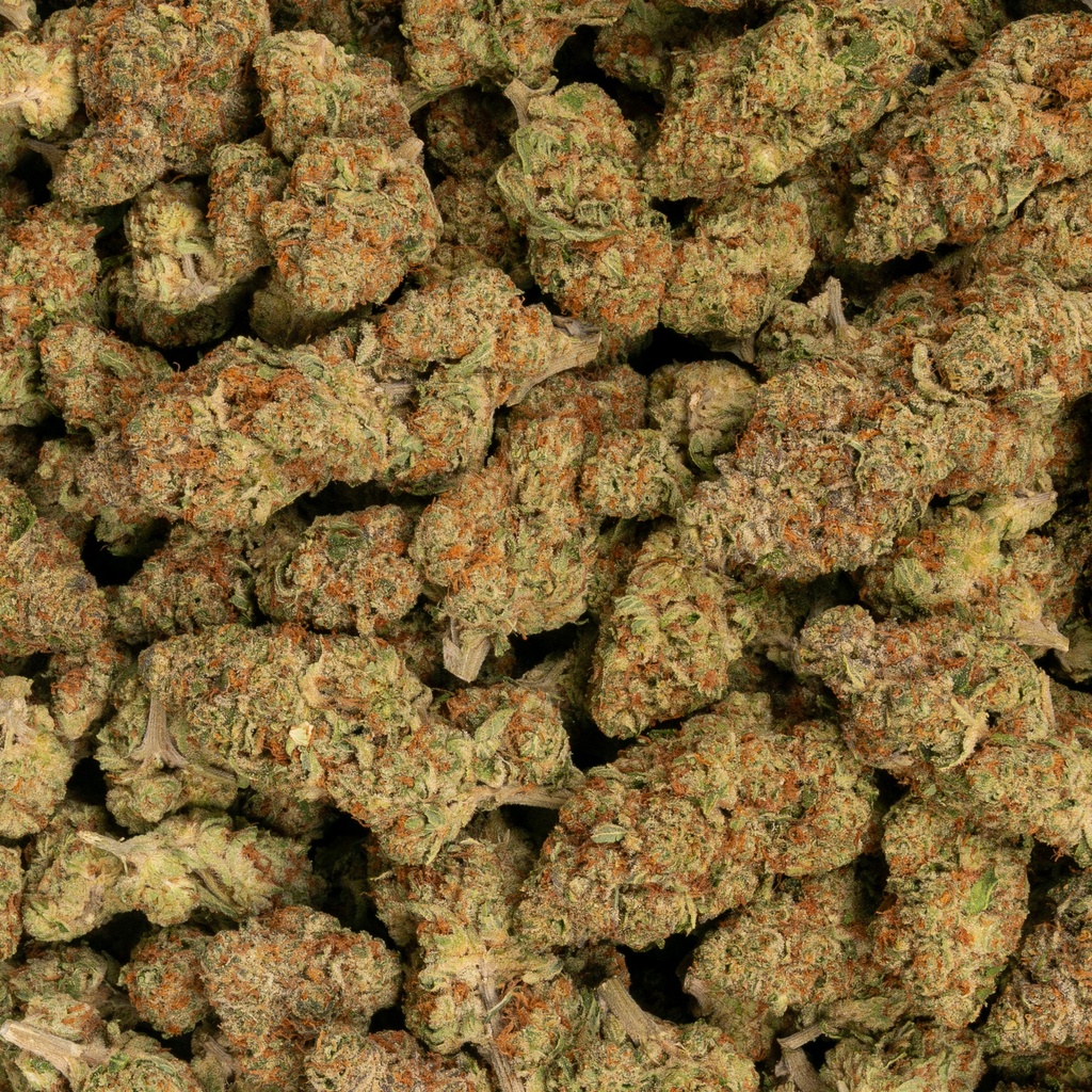 Guavalicious Indoor
