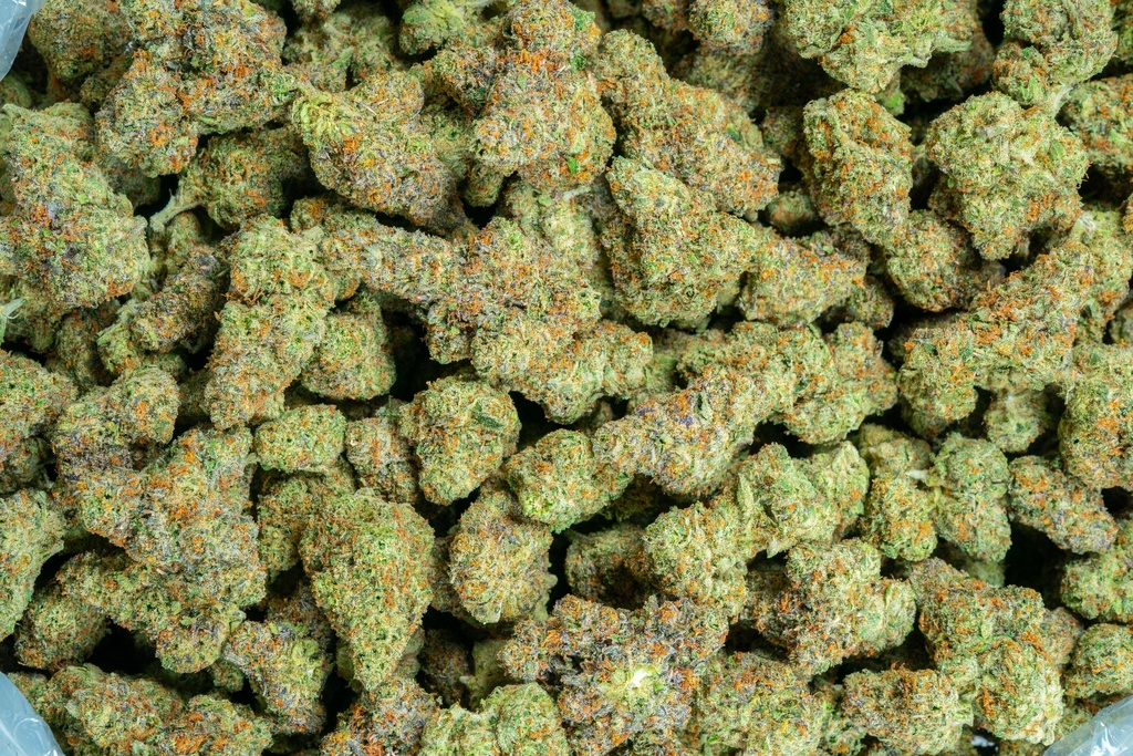 Gummiez Indoor