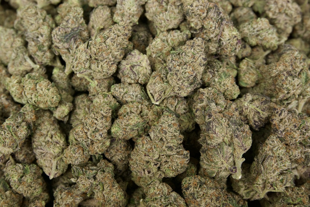 Elektro Ice Candy Indoor