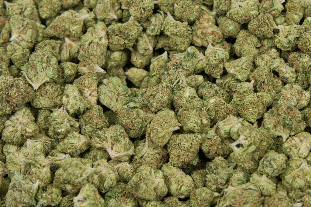 Orange Cannoli Smalls
