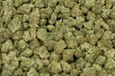 Orange Cannoli Smalls