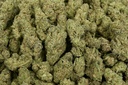 Maui Wowie Indoor