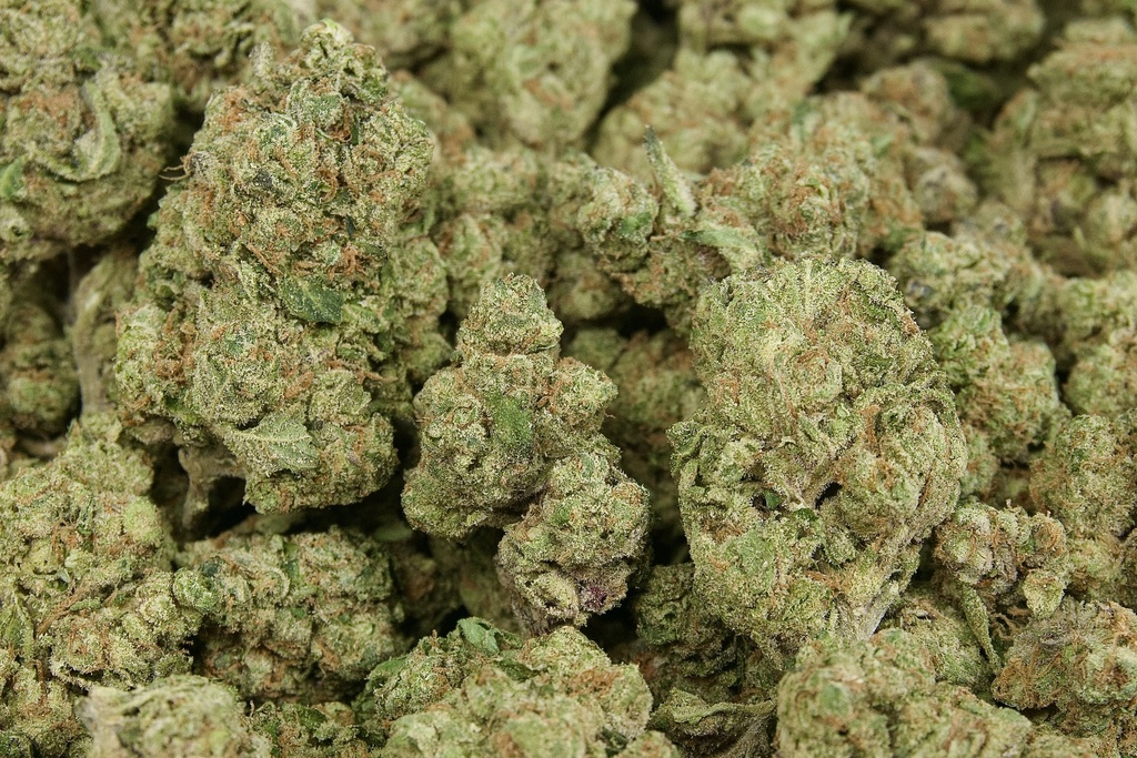 Facewreck