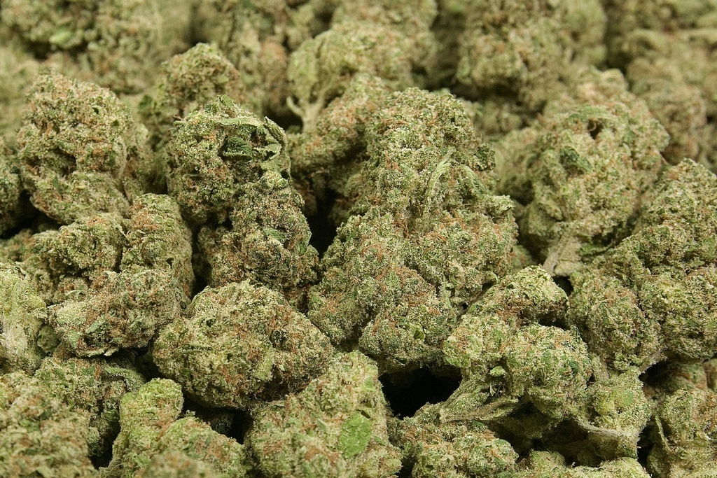 Gorilla Butter