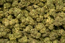 Space Kush