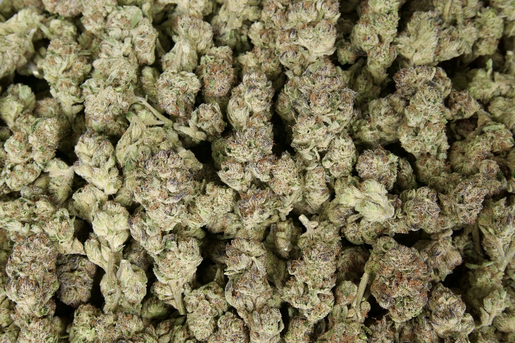 Pink Tuna