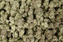 Pink Tuna