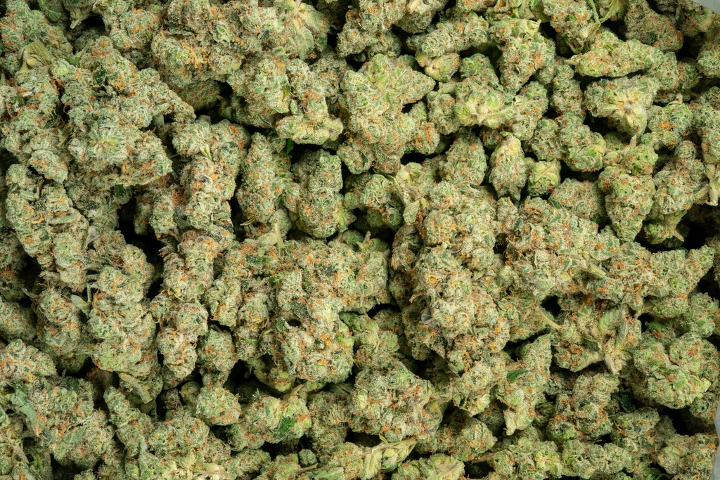 Sublime Indoor