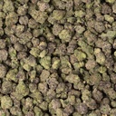 Cereal Milk Indoor Smalls