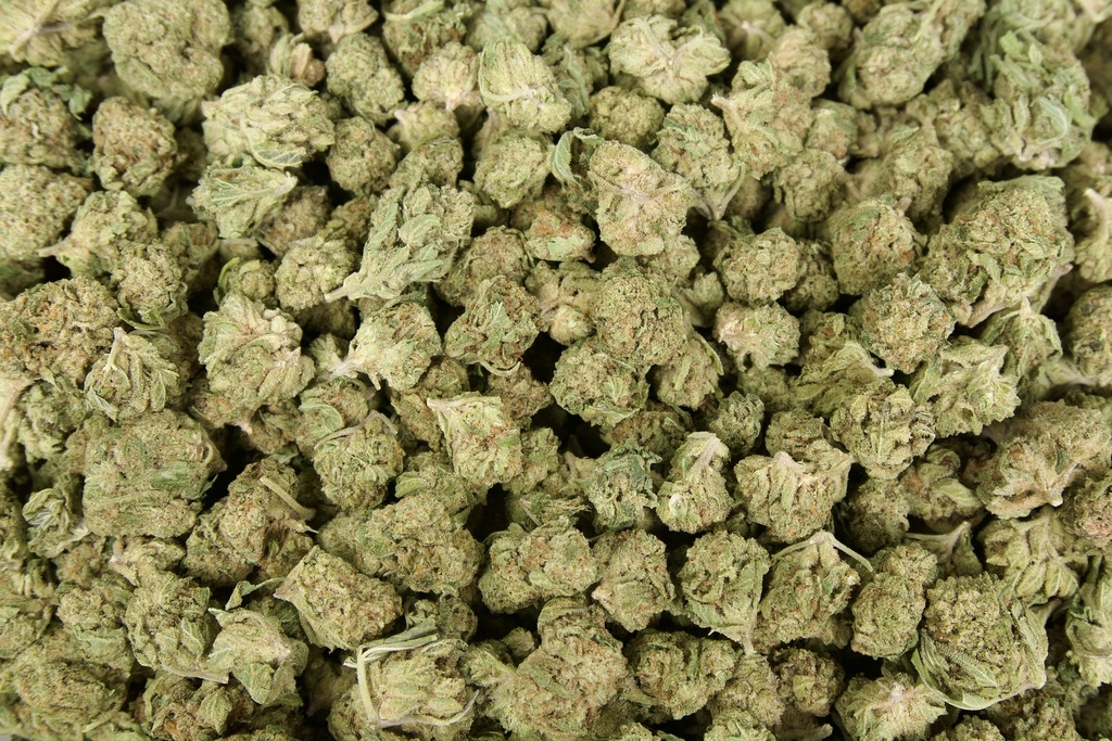 Oreoz Mediums