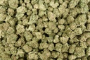 Oreoz Mediums