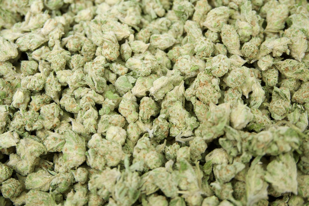 Clementine Indoor Smalls