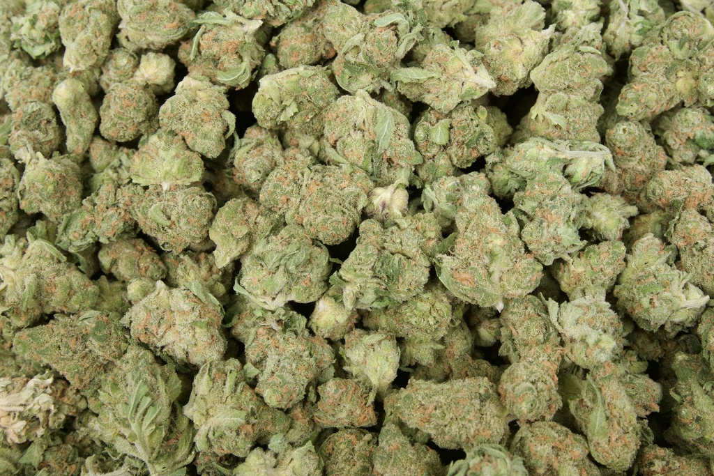 Blue Iguana Smalls