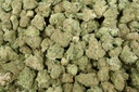 Blue Iguana Smalls