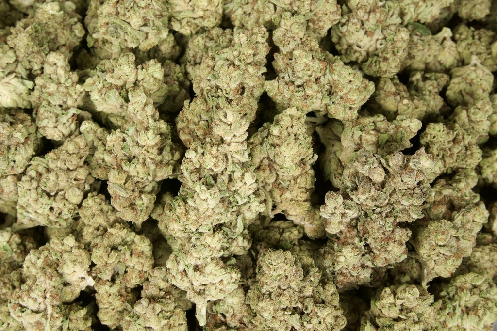 Apple Sherbet