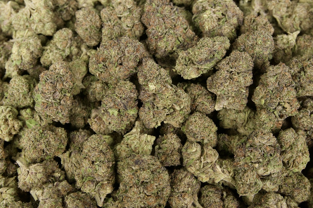 Astro Candy Indoor
