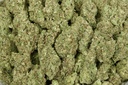 Diesel Thai