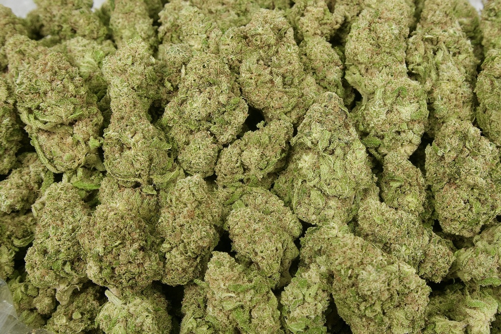 Tasty Wave