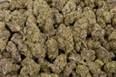 THC Bomb