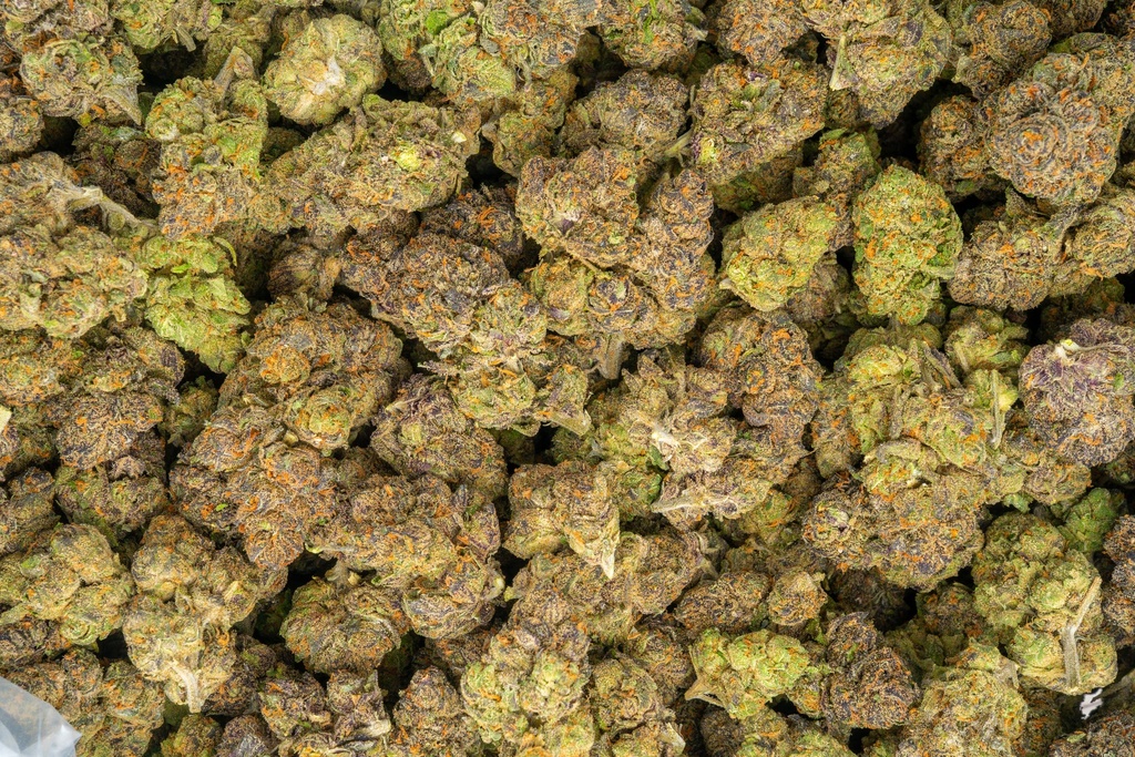 Black Runtz Indoor
