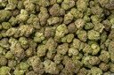 Black Runtz Indoor