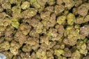 Black Runtz Indoor