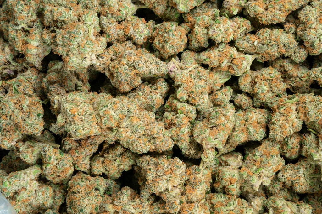 Blockberry Indoor