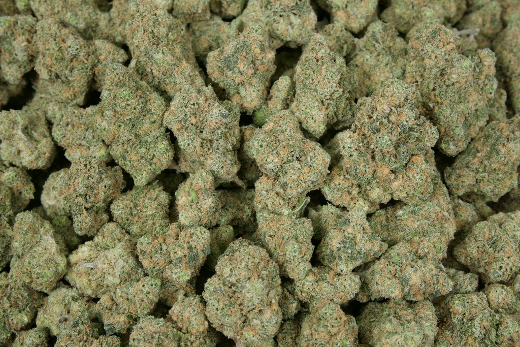 Blue Dream Indoor