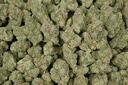 Blue Dream Indoor