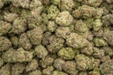 Blueberry Blast Indoor