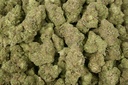 Cereal Milk Indoor