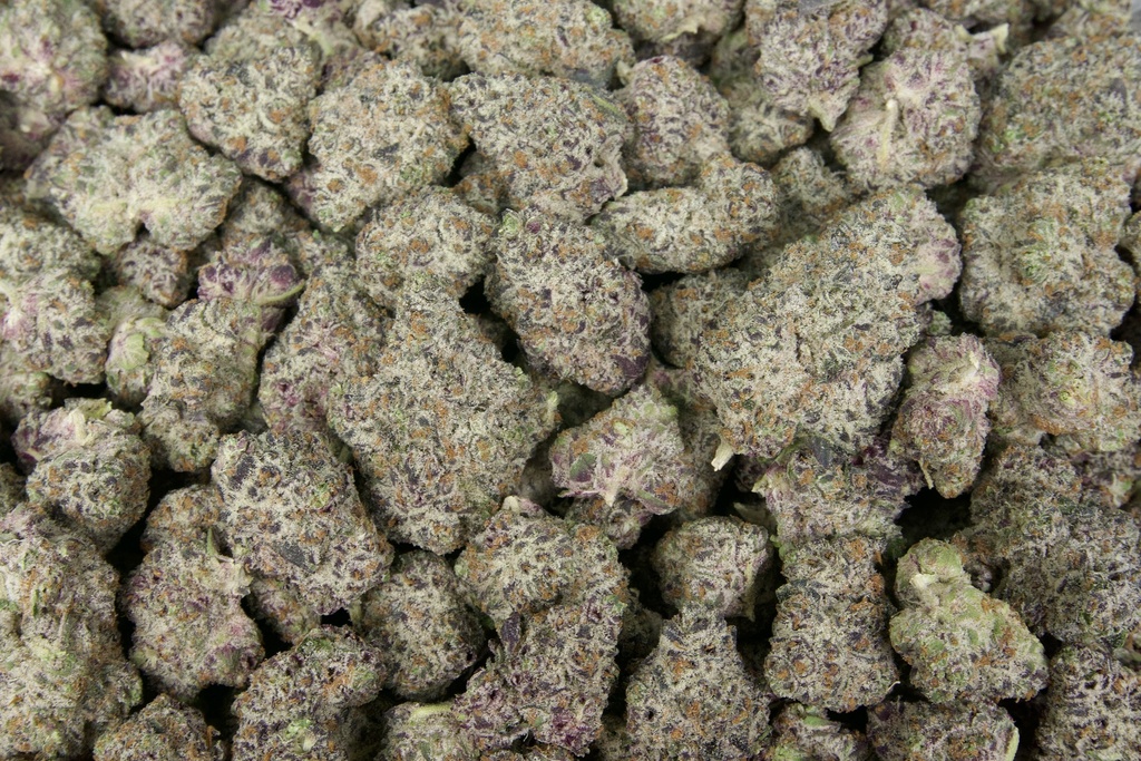 Garlic Truffle Indoor