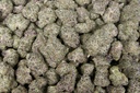 Garlic Truffle Indoor