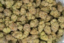 Girl Scout Cookies Indoor