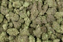 Gmo Cookies Indoor