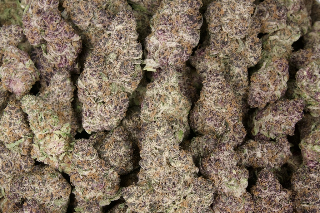 Granddaddy Purple Indoor
