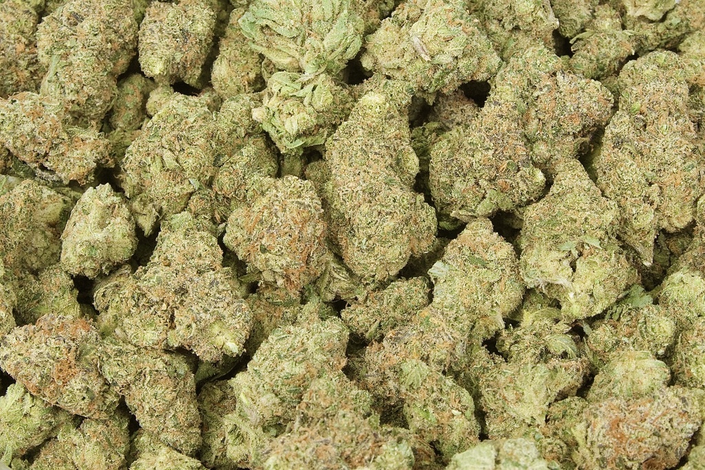 Green Crack Indoor