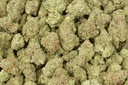 Green Crack Indoor