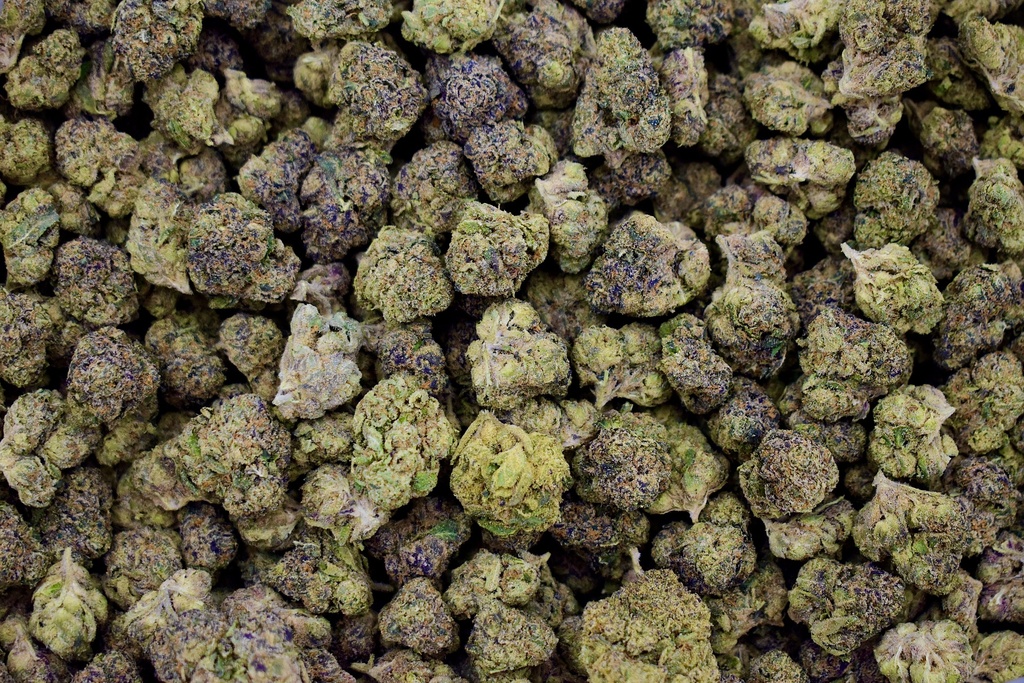 Jet Fuel Runtz Indoor