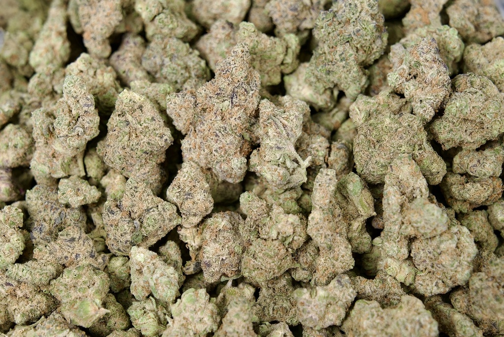 Kush Mintz Indoor
