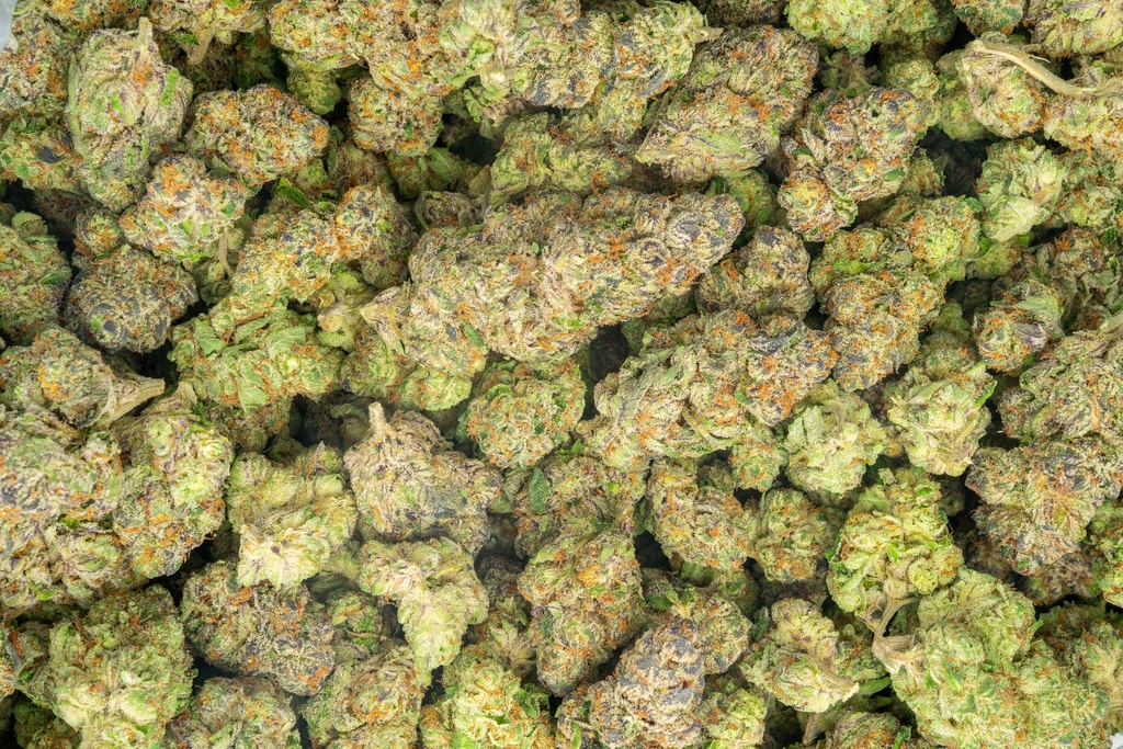 Lemon Cherry Gelato Indoor
