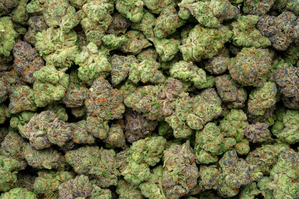 Lemon Cherry Gelato Indoor