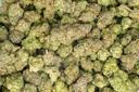 Lemon Cherry Gelato Indoor