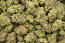 Lemon Cherry Gelato Indoor