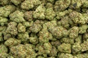 Lemon Cherry Gelato Indoor
