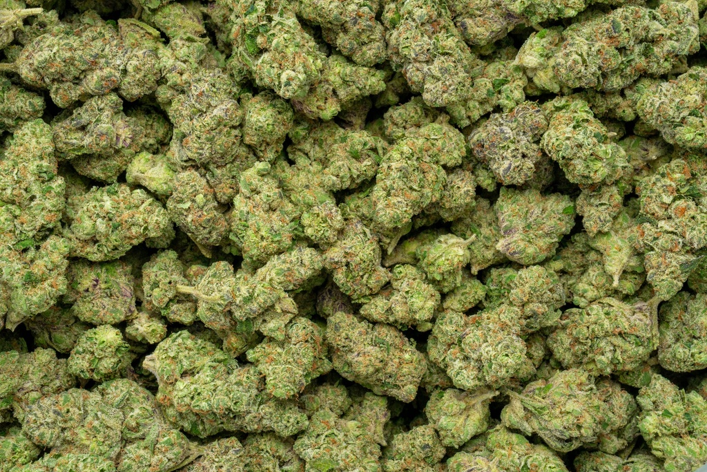 Mr. Nasty Indoor